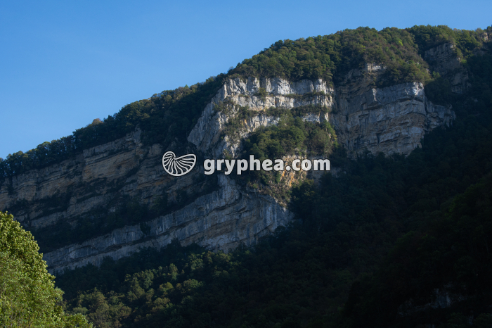 Pli faillé (Jura) - gryphea.com